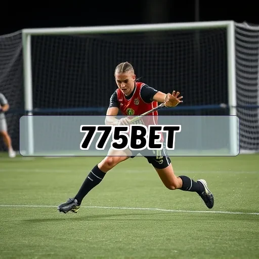 775bet.app Recursos